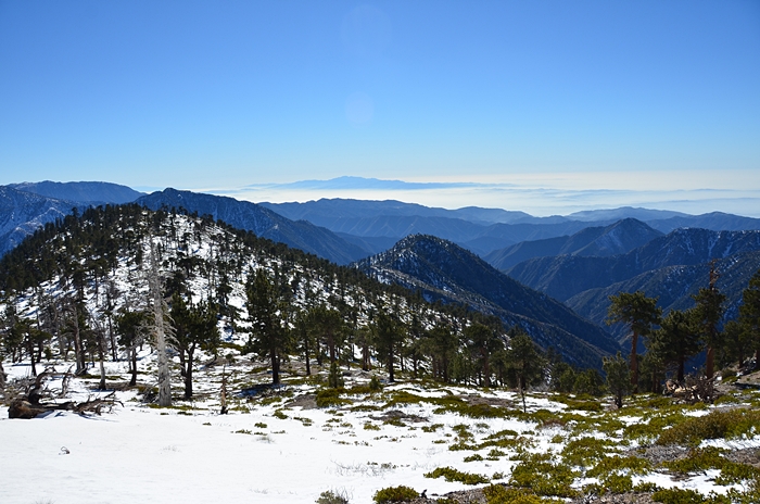 DSC_8843.JPG