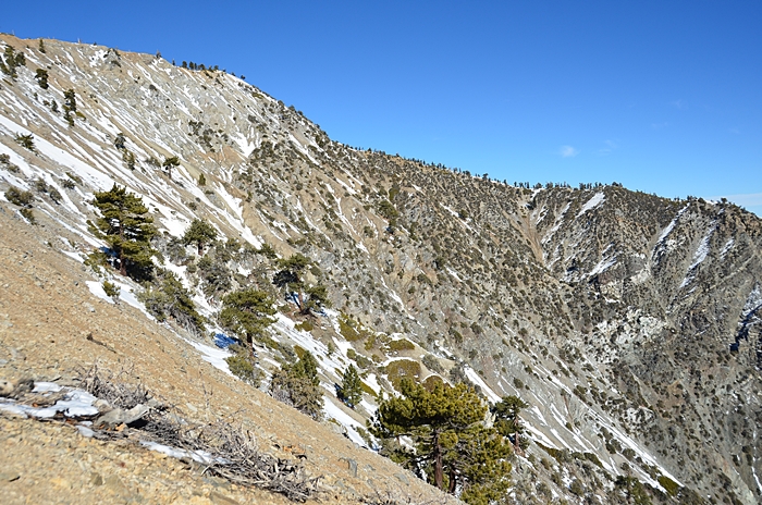 DSC_8838.JPG