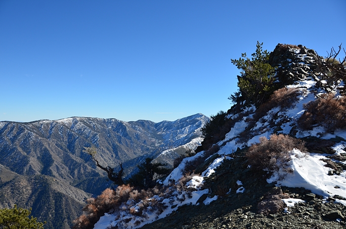 DSC_8860.JPG