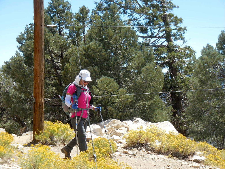 cougarcrest815 035.JPG