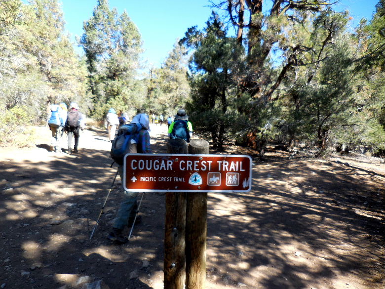 cougarcrest815 002.JPG
