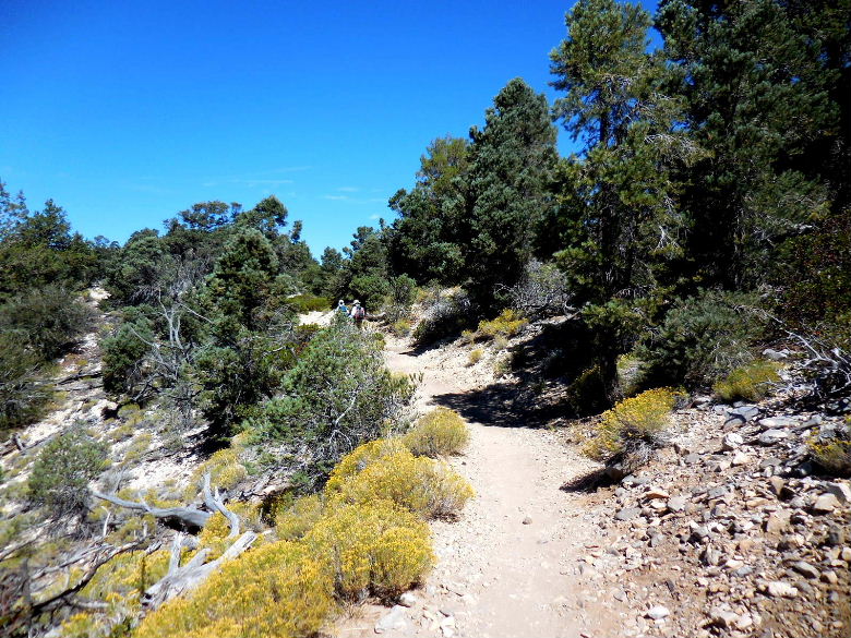cougarcrest815 009.JPG