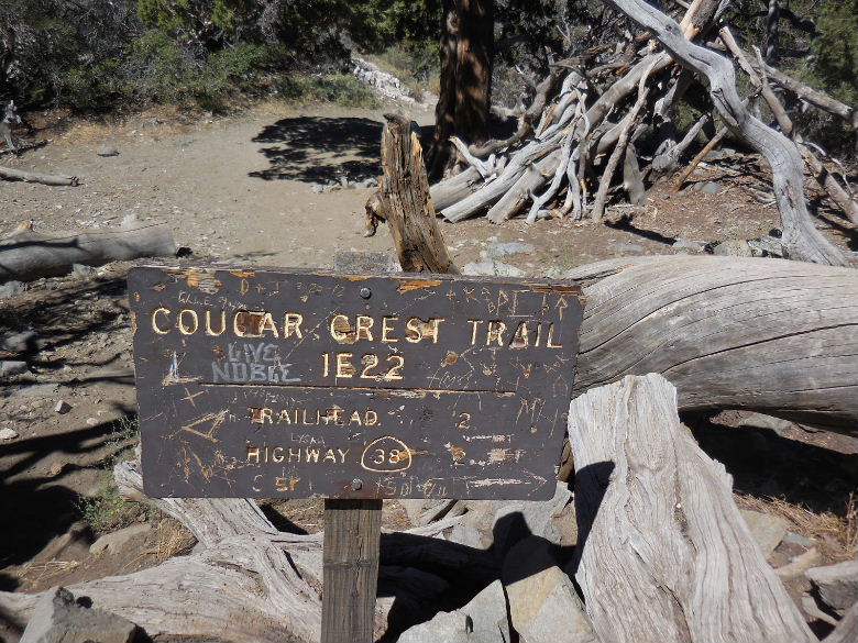 cougarcrest815 016.JPG