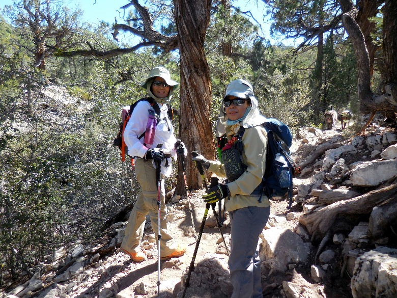cougarcrest815 005.JPG