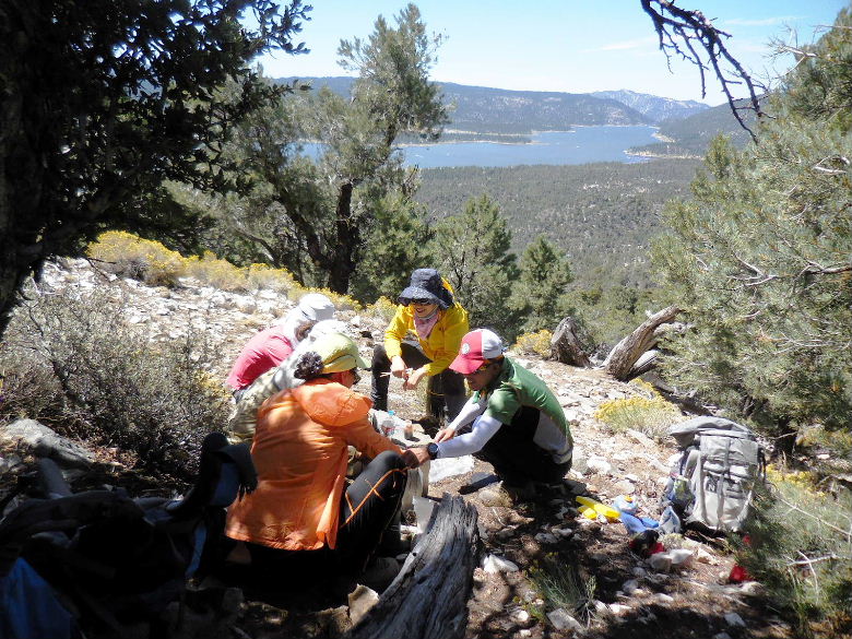 cougarcrest815 031.JPG