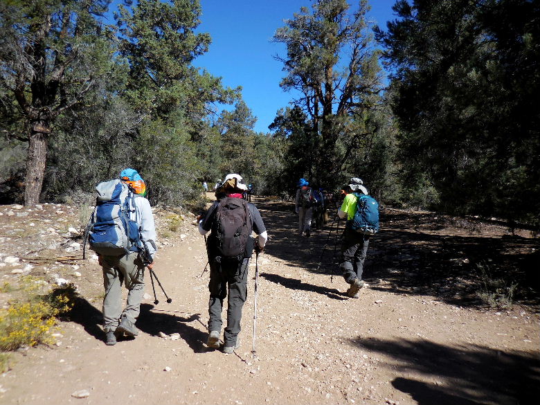 cougarcrest815 001.JPG