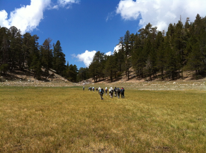 Dry lake 037.jpg
