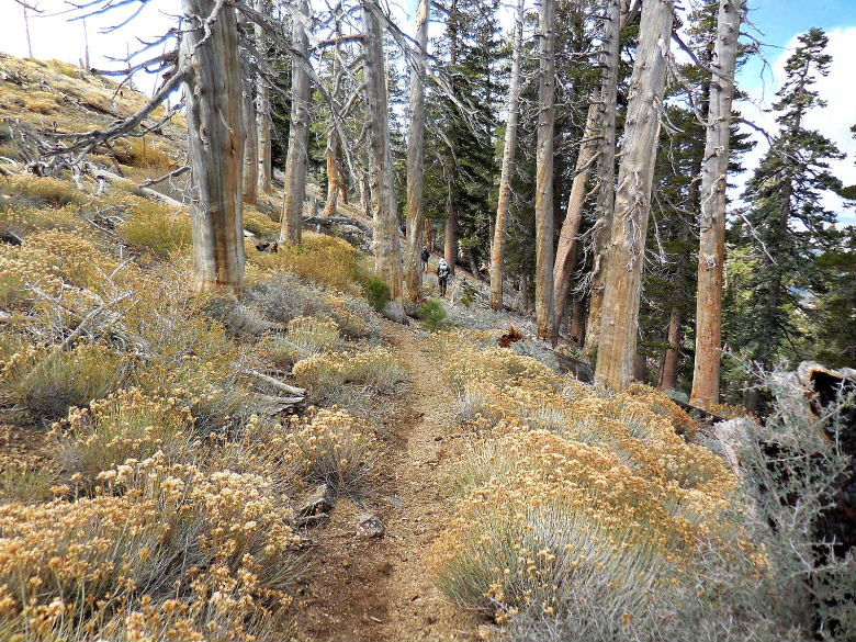 Mt.throop1015 053.JPG