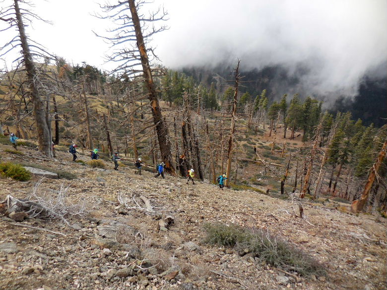 Mt.throop1015 056.JPG