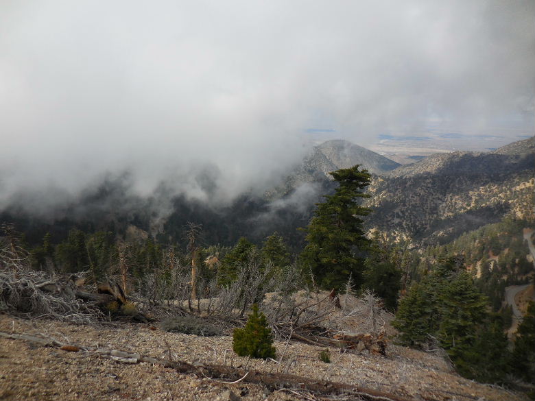 Mt.throop1015 054.JPG