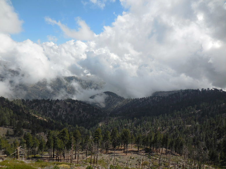 Mt.throop1015 049.JPG