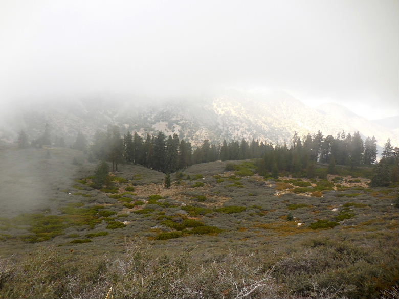 Mt.throop1015 061.JPG