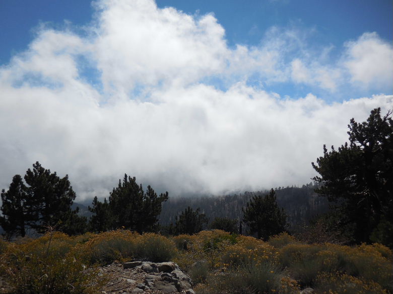 Mt.throop1015 047.JPG