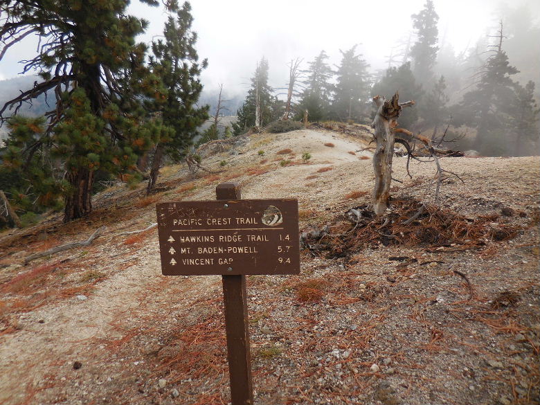 Mt.throop1015 031.JPG