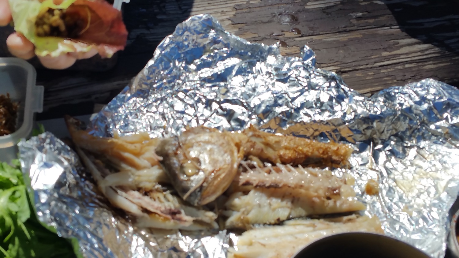 20170416_114734.jpg