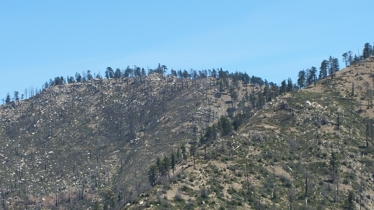 20170416_131714.jpg