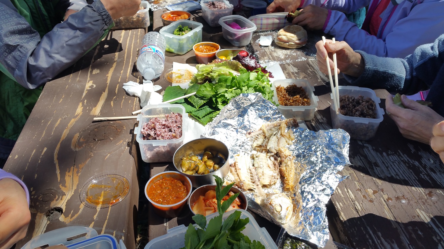 20170416_114711.jpg