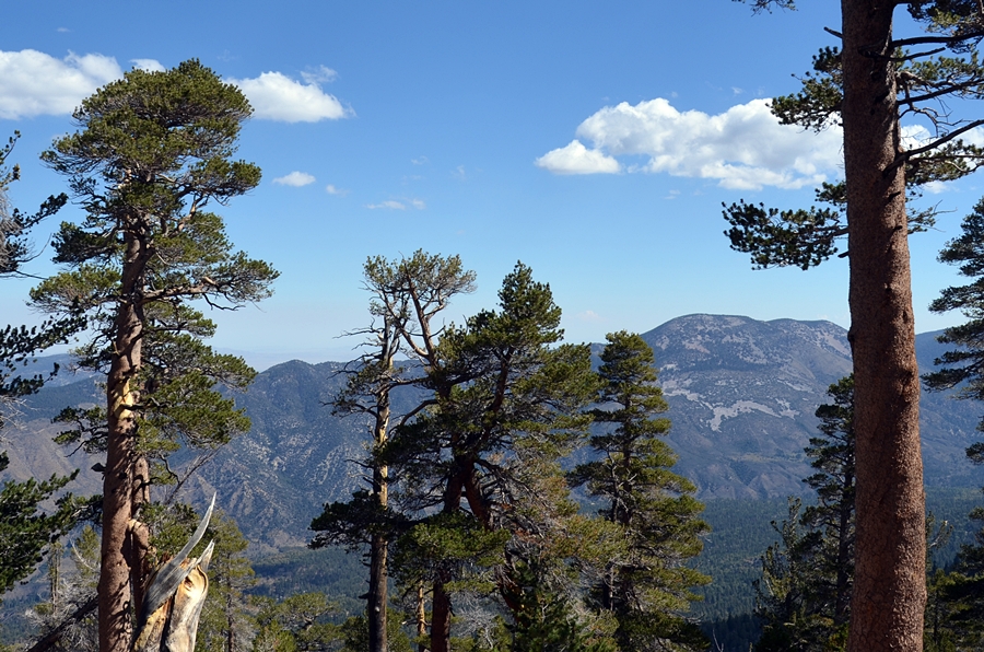 DSC_0031.JPG