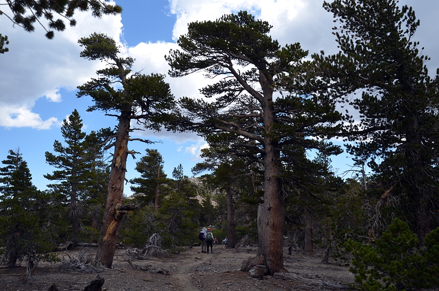 DSC_0084.JPG