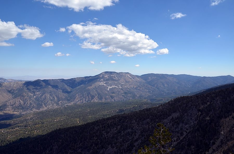 DSC_0046.JPG