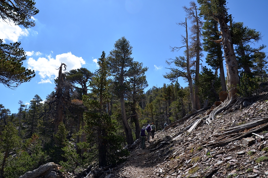 DSC_0030.JPG