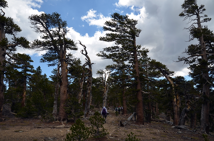 DSC_0077.JPG
