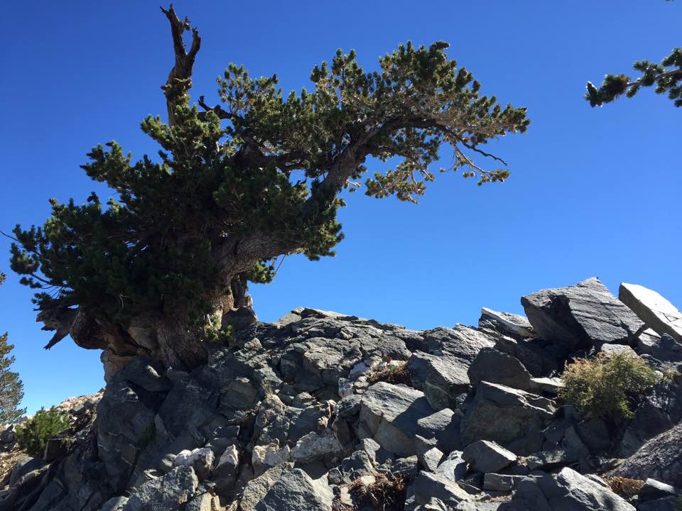 20160911_232821554.jpg