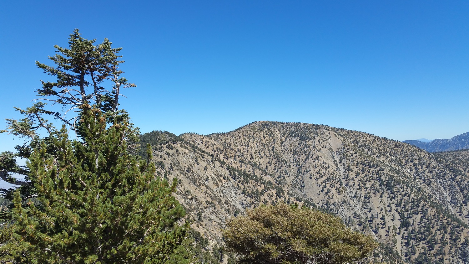 20160911_232818.jpg