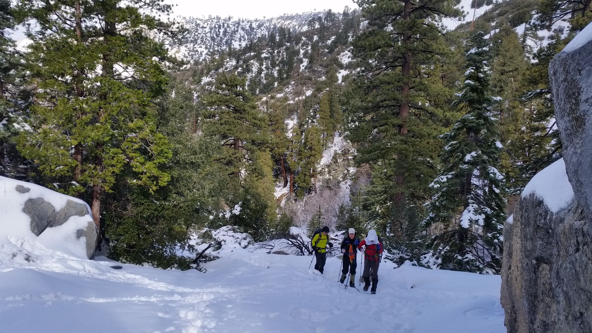 20160110_092413.jpg