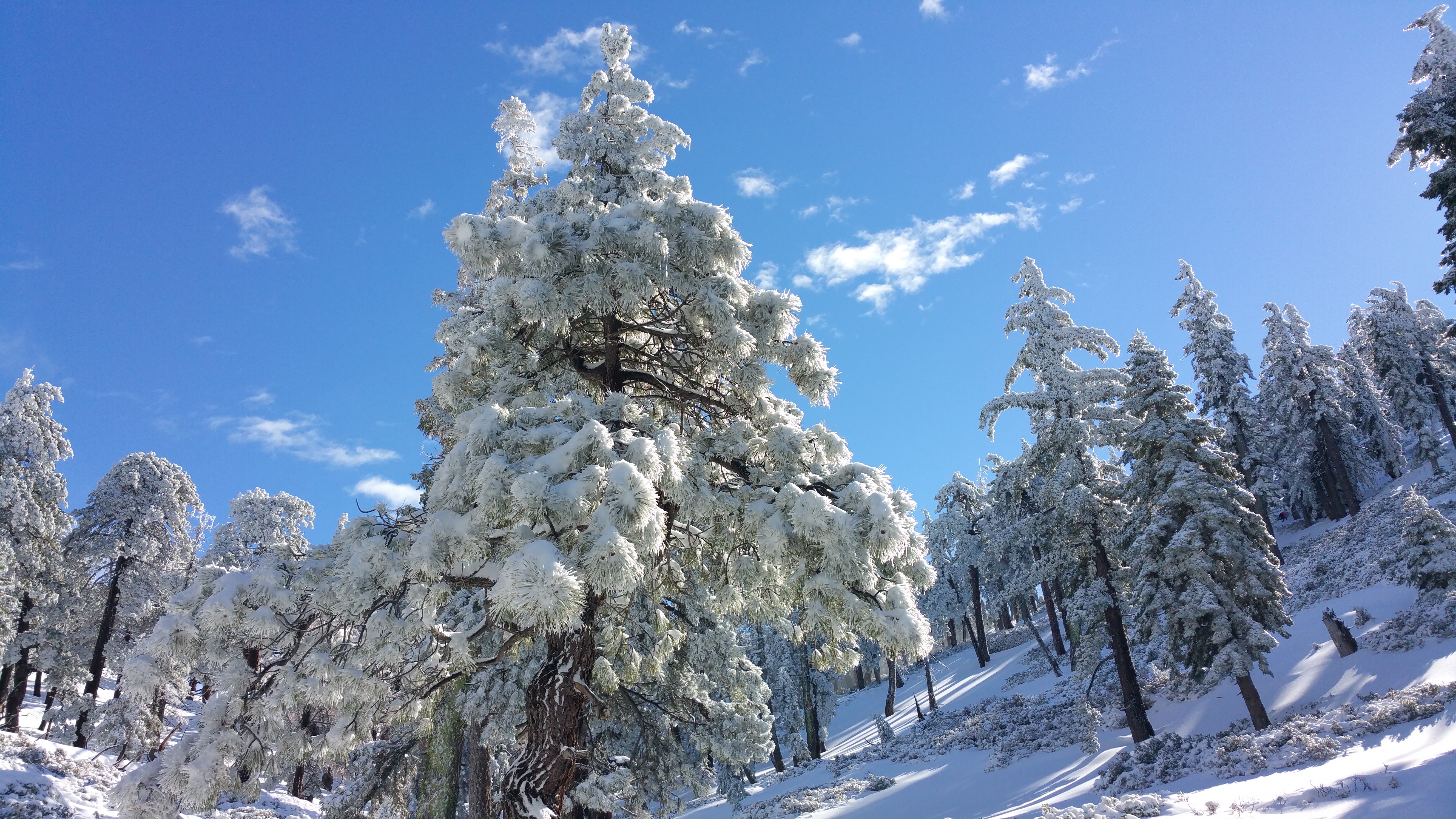 20160110_102318.jpg