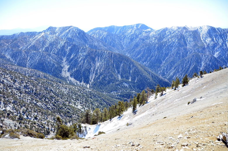 DSC_1982.jpg