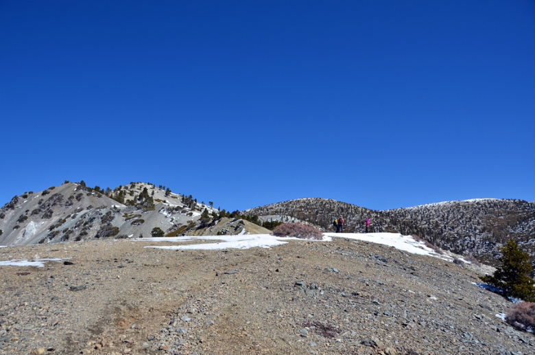 DSC_1944.jpg