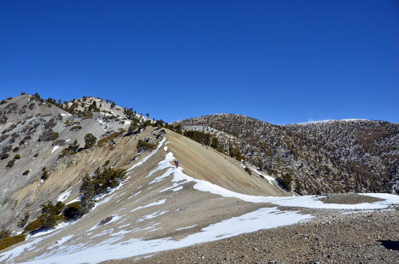 DSC_1946.jpg