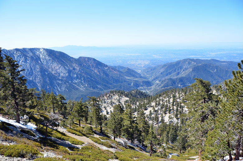 DSC_1928.jpg