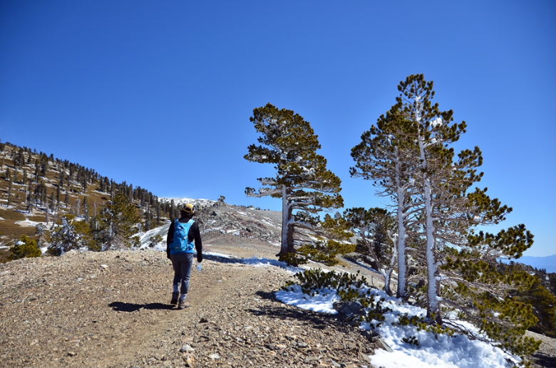 DSC_2035.jpg