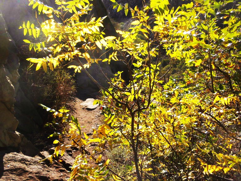 mugupeak1112 083.JPG