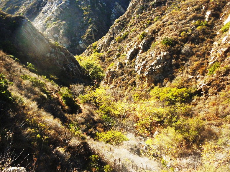 mugupeak1112 082.JPG