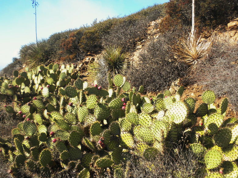 mugupeak1112 065.JPG