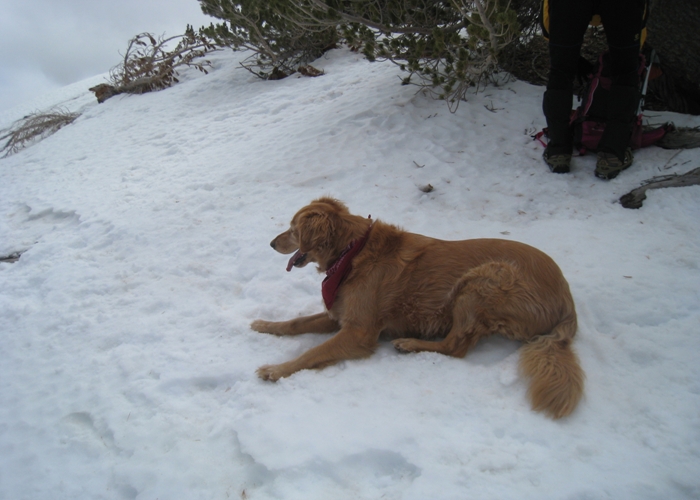 Baden Powell 071.jpg