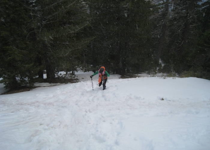 Baden Powell 031.jpg