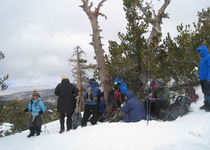 Baden Powell 058.jpg