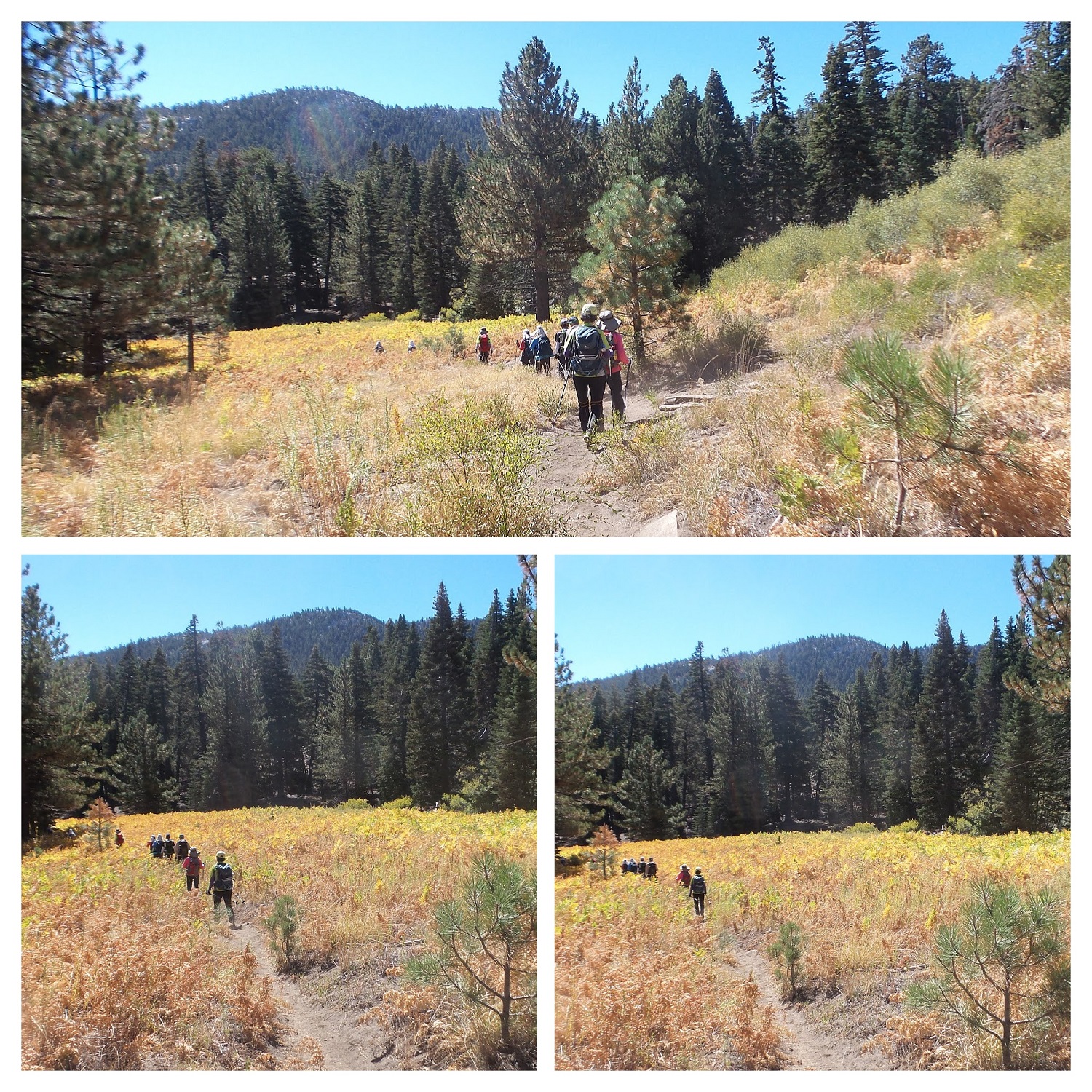 20160919_103730-COLLAGE.jpg