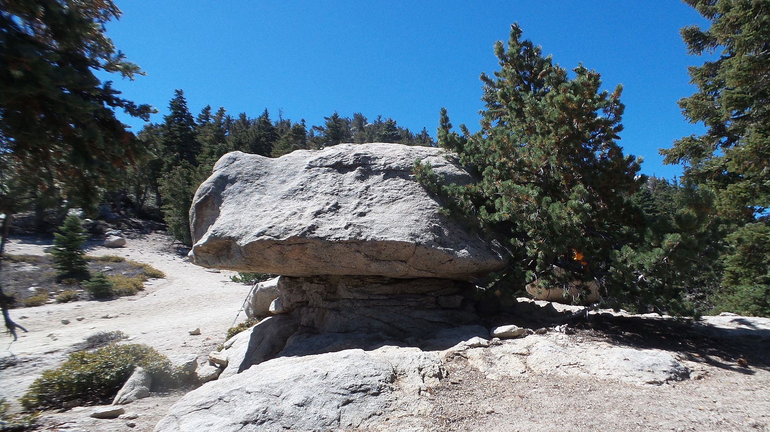 20160919_111942.jpg