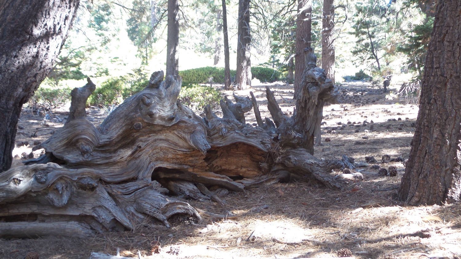 20160919_151136.jpg