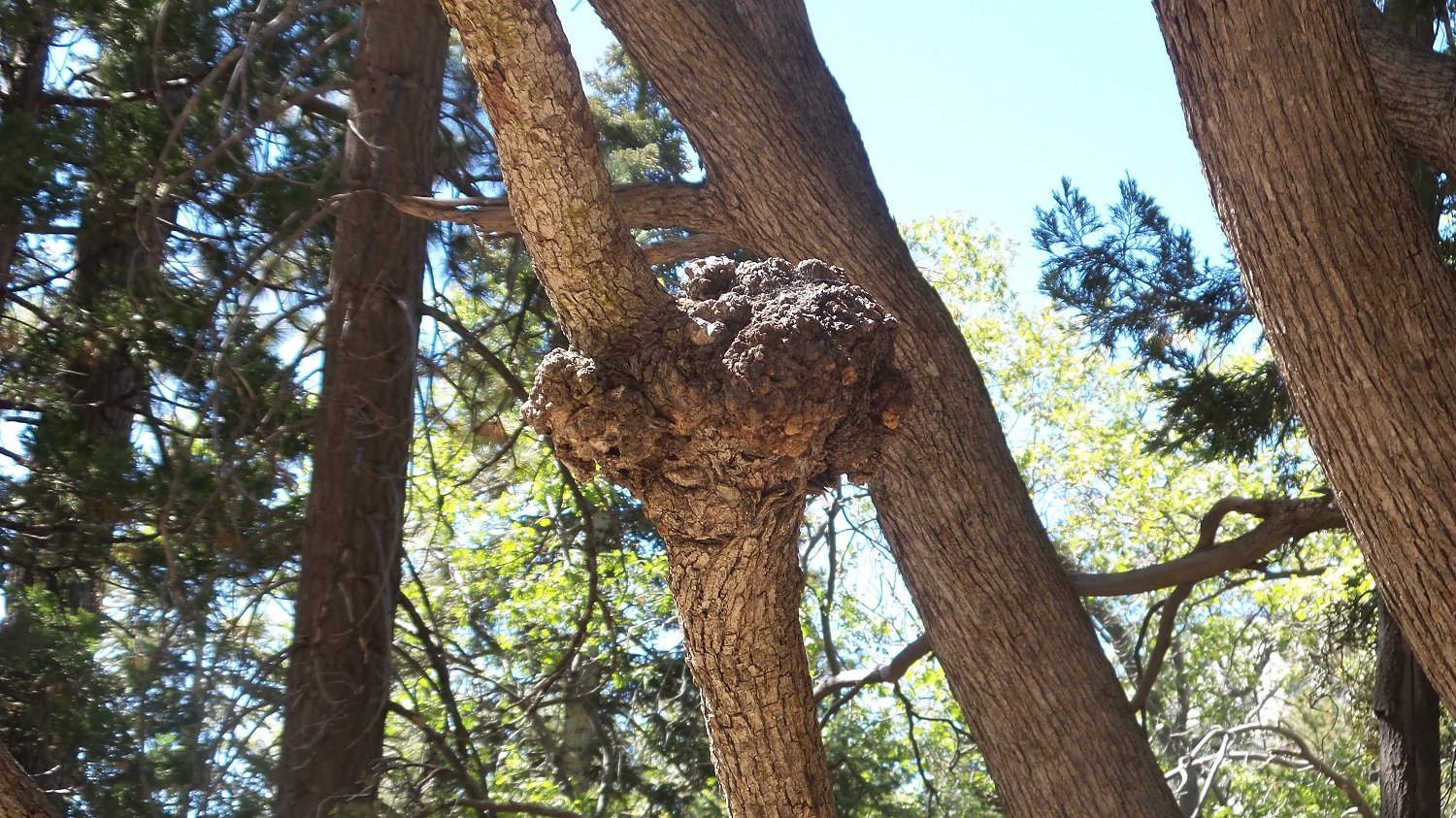 20160919_151645.jpg