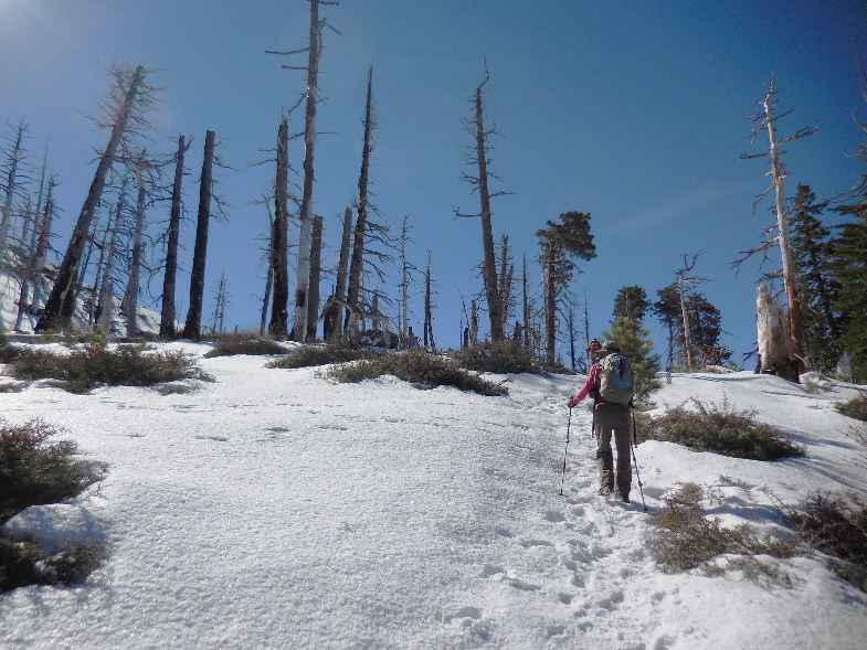 mt.throop22015 031.JPG