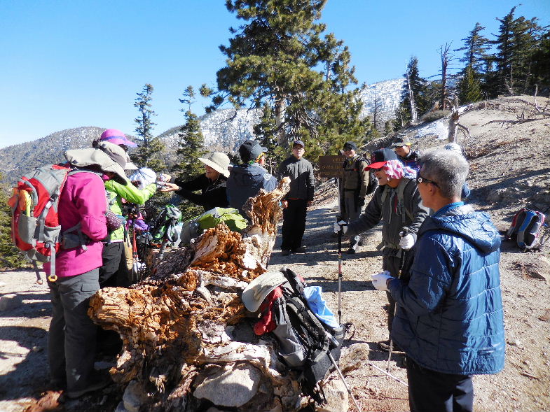 mt.throop22015 022.JPG