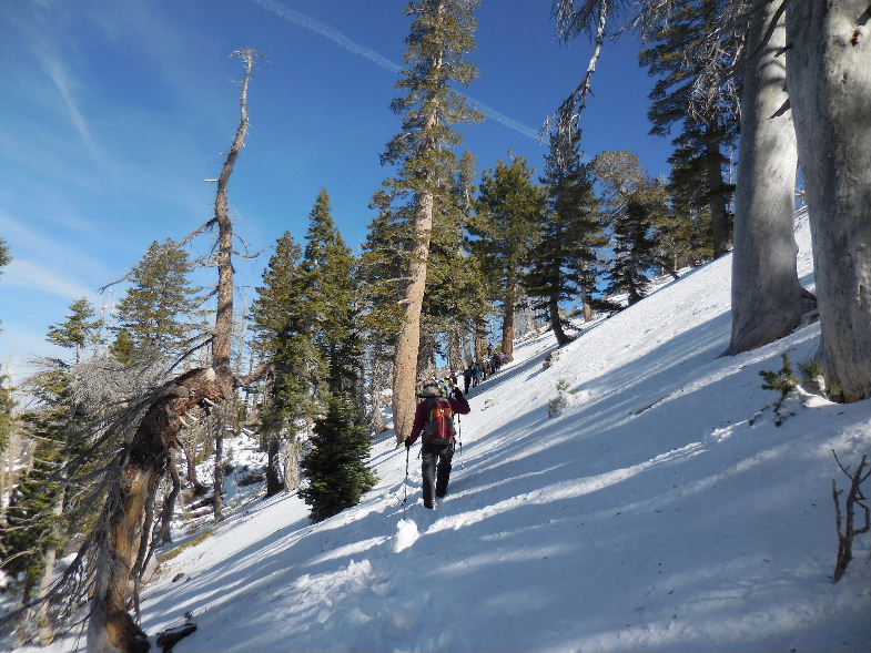 mt.throop22015 045.JPG
