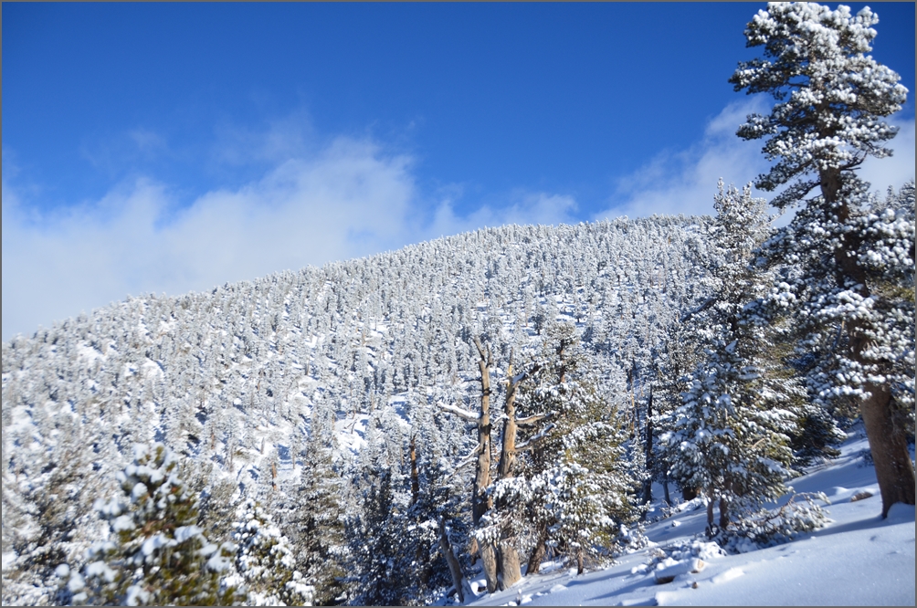 DSC_7358.JPG