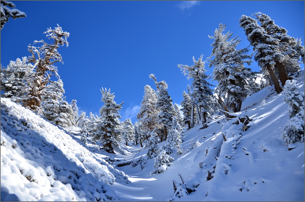 DSC_7295.JPG